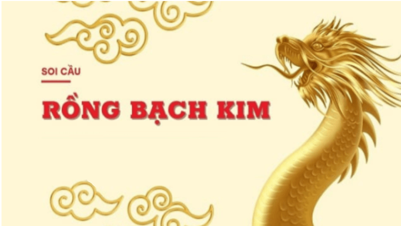 cách thực hiện soi cầu rồng bạch kim miễn phí chính xác